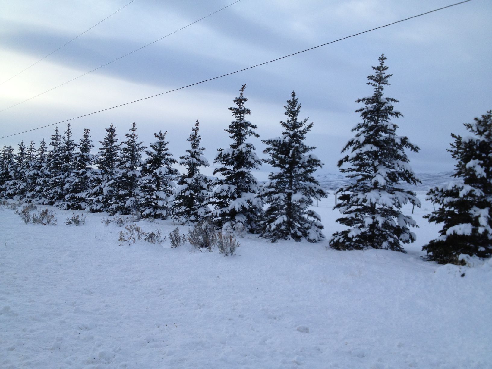 Snow